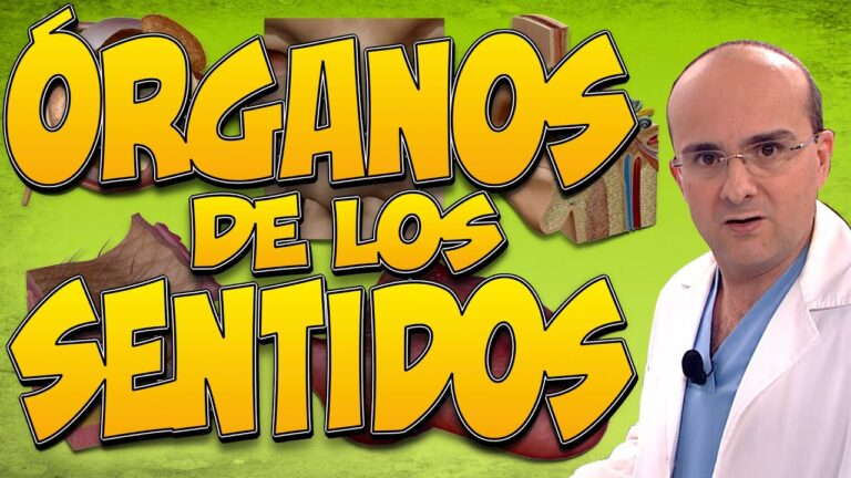 trastornos de los organos de los sentidos