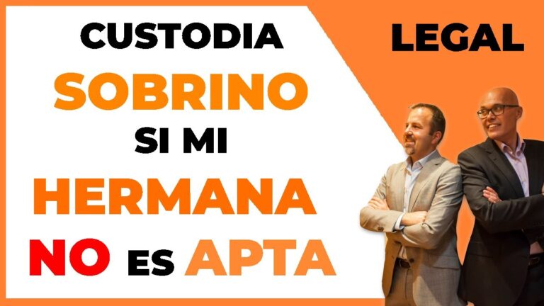 una hermana puede pedir la custodia de su hermano